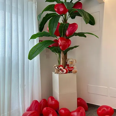 Couette-café Butterfly