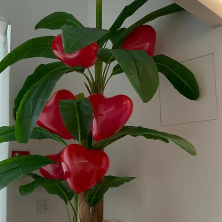 Butterfly Oda ve Kahvaltı Bitritto