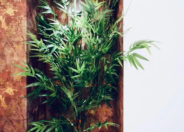 Butterfly לינה וארוחת בוקר